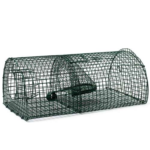 Green rat trap cage, 40 cm curved, for catching rats, multiple rats, humane, reusable, easy to use