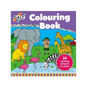 Galt colouring book with 24 exciting pictures to colour, featuring animals like a lion, elephant, giraffe, zebra, and flamingos - Galt