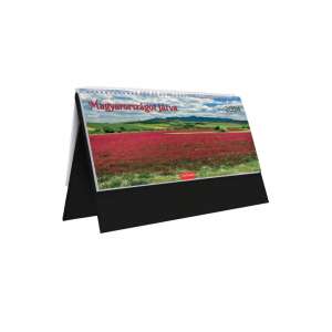 Kalendart 2024-es asztali naptár, Magyarország, tájkép, fekete, álló - TOPTIMER