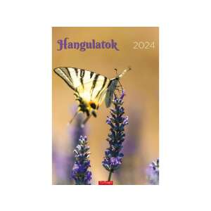 TopTimer - Hangulatok 2024 Wandkalender - 14 Blatt - 220x330 mm 77871033 - Schreibwaren & Schreibmaterial