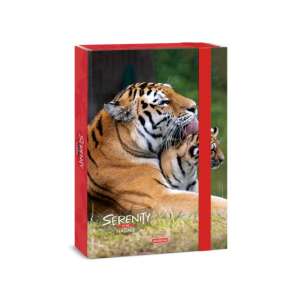 Ars Una Serenity Nature Cutie A4 cu tigru cu coloana vertebrală de 4 cm - Ars Una