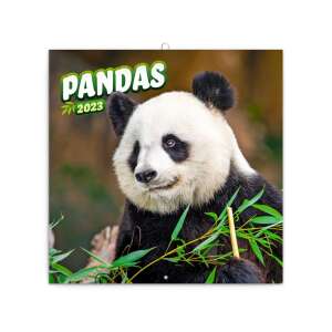 Presco - Pandás Falinaptár 2024 - A3 77900804 - REALSYSTEM