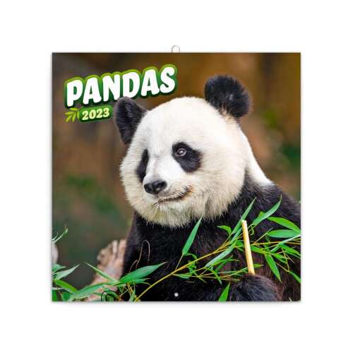 Presco - Pandás Falinaptár 2024 - A3 77900804