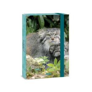 Ars Una Serenity Nature A4-es füzetbox pallás macskával, ideális dokumentumok, rajzok és füzetek tárolására - Füzetbox