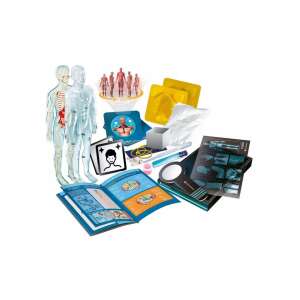 Clementoni Super Anatomie Wissenschaftsset für Kinder, enthält Skelett, Organe, Zähne und mehr - Wissenschaftliche und Entdeckerspiele