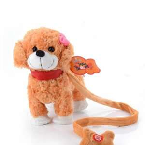 Pórázzal vezethető kutyus