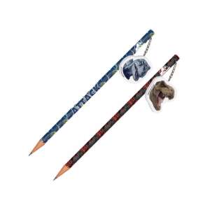 Jurassic World Bleistift mit Radiergummi, mit Dinosaurier-Designs - Graphitstifte