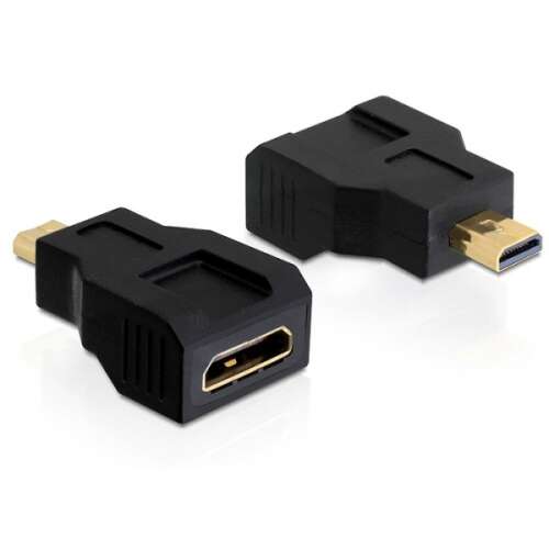 Delock HDMI mini C anya - micro D apa adapter - HDMI átalakító