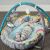 Taf Toys Koala Baby Play Gym with Baby Playing