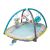 Taf Toys Koala Baby Activity Gym