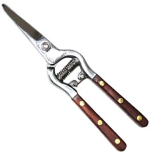 Ножица за прибиране на реколтата с дървена дръжка 18cm MUTA 131711431 - Ножици за прибиране на реколтата