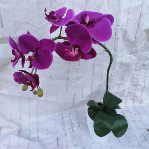 Élénk lila orchidea dekor 1 szálas 32556761