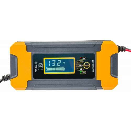 Redresor, incarcator baterie cu microprocesor 12V 24V (PM1243) 78599157