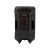 Trevi XF 1250 portable party speaker rear view with controls