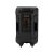 Trevi XF 1250 portable party speaker rear view with controls