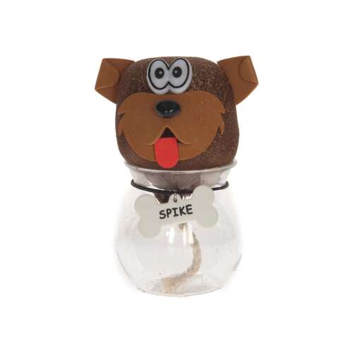 Iarba animale - mai multe tipuri, 1 buc 78990525