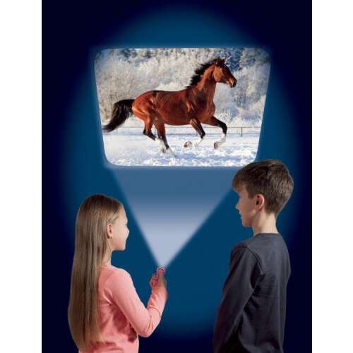 Kids using the Horse Torch to project a horse image on the wall