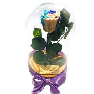 Örökózsa üvegbúrában, szivárvány színű rózsa, lila szalaggal - Ajándék ötlet Valentin-napra