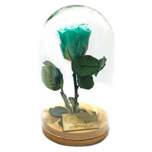 Menta színű tartósított rózsa üvegkupolában, Örökrózsa márka - Ajándék ötlet Valentin-napra