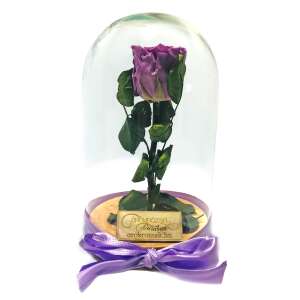 Örökózsa üvegbúrában, akáclila színben - Ajándék ötlet Valentin-napra