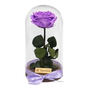 Örökrózsa üvegbúrában, nagy méret, élénk lila - Ajándék ötlet Valentin-napra