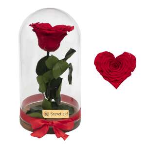 Vörös örökrózsa üvegkupolában, tökéletes Valentin-napra - Művészet & Hobbi
