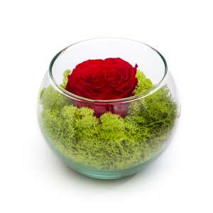 Tartósított vörös rózsa üvegvázában mohával, Örökrózsa zuzmóval üvegkaspóban - Ajándék ötlet Valentin-napra