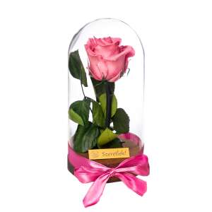 Örökrózsa üvegbúrában, rózsaszín rózsával, fa talppal és rózsaszín szalaggal, tökéletes ajándék különleges alkalmakra - Ajándék ötlet Valentin-napra