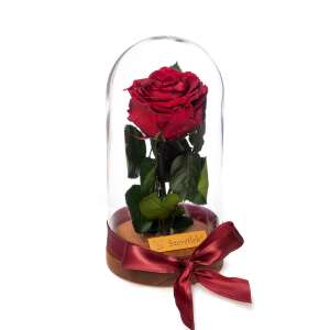 Örökrózsa üvegbúrában - Vörös 79005759 Ajándék ötletek Valentin-napra