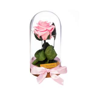 Örökrózsa üvegbúrában rózsaszín szalaggal, tökéletes Valentin-napra vagy évfordulóra - Ajándék ötlet Valentin-napra