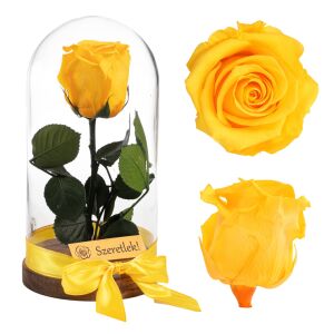 Örökrózsa Sárga örök rózsa üvegbúrában, tartósított virág ajándék - Ajándék ötlet Valentin-napra
