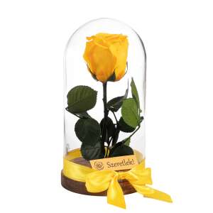 Örökrózsa üvegbúrában - sárga 79005767 Ajándék ötletek Valentin-napra