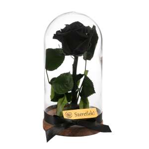 Fekete örökrózsa üvegbúrában, fa talppal, romantikus ajándéknak tökéletes - Ajándék ötlet Valentin-napra