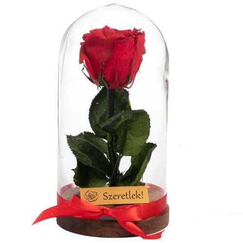 Örökrózsa üvegbúrában, piros, ajándék Valentin-napra