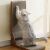 Purlov Brown Cat Scratcher - Cat scratching