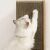 Cat scratching Purlov corner cat scratcher