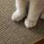 Close-up of cat paws on Purlov cat scratcher surface
