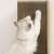 Cat scratching Purlov wall mounted cat scratcher