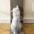 Cat using Purlov vertical cat scratcher