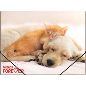 PANTA PLAST Friends A4 elastic folder with dog and cat design - File folder