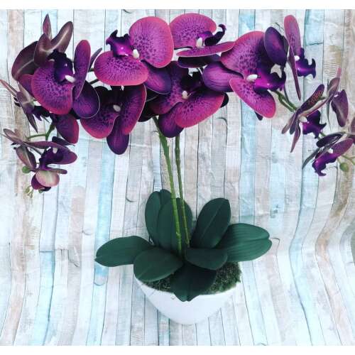 Lila 2 virágos orchidea kerámia kaspóban 32592433