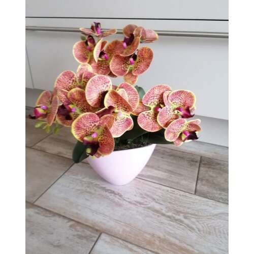 Egyedi orchidea 32730041