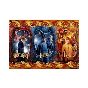 Completed Clementoni Harry Potter Puzzle - Main Characters - 104 pieces - Clementoni Puzzle