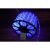 Flippy 20m Blue LED Christmas String Lights on Spool