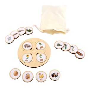 Életciklus set demonstrativ din lemn: Jucărie educativă ciclul vieții cu floarea-soarelui, porumb, roșie, broască, fluture, păianjen, buburuză și țestoasă. - Jocuri educative pentru școlari