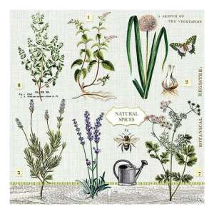 Herbs Garden 20 darabos papírszalvéta, botanikai illusztrációkkal fűszerekből és gyógynövényekből - Szalvéta