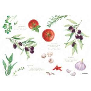 Tányéralátét vízszerû festéssel illusztrált különféle gyógynövényekkel és fűszerekkel, beleértve a paradicsomot, az olajbogyót, a fokhagymát, a rozmaringot és a chili paprikát - Tányéralátét