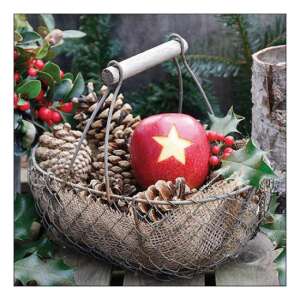 Csillagos alma papírszalvéta, 20 db-os, 33x33cm, karácsonyi mintával - Szalvéta