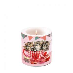 Macskák teáscsészében illatos gyertya 8x7,5cm - Lakberendezés
