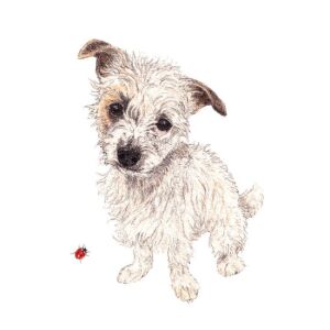 Kutya illusztráció Omelette papírszalvétán - Szalvéta